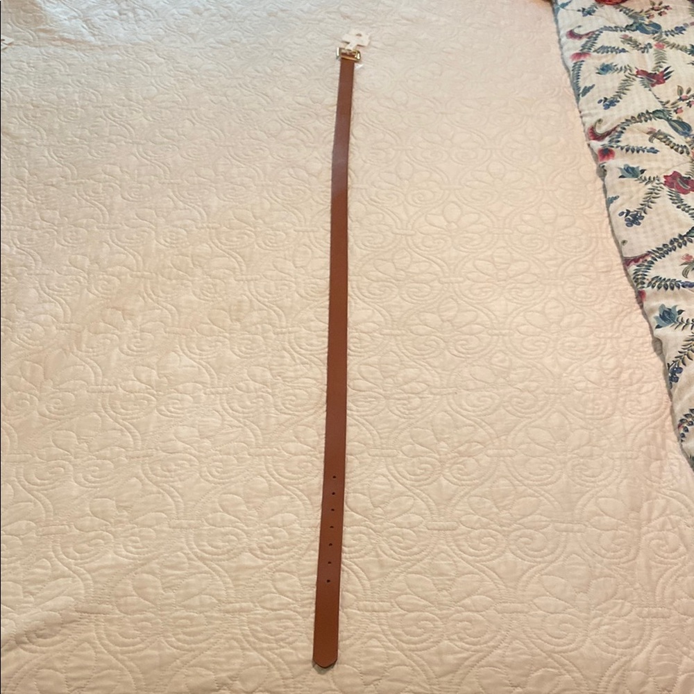 a new day brown belt